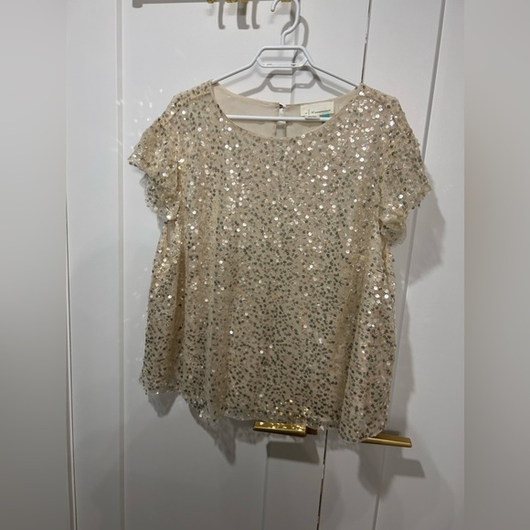 NWOT Sequin Top 2X Anthropologie - fully lined gorgeous top - Picture 1 of 6